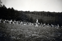 SS-Verband mit Flaggen in Waldlichtung, 1933