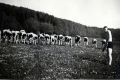Sport?bungen einer Jugendgruppe auf einer Wiese