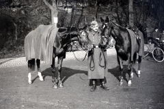 SS-Angehöriger zu Pferd bei Veranstaltung, 1933