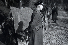 SS-Angehöriger mit Flagge auf Allee, 1933
