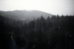 Waldlandschaft mit Bergkuppe und Stra?e