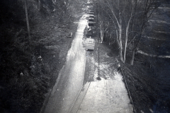 Eisenbahnzug auf Waldstrecke, Luftaufnahme