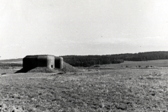 Befestigungsanlage in Waldlandschaft