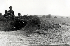 SS-Angehörige in Schützengraben mit Maschinengewehr
