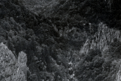 Waldgebirge mit Felsklippen und Bachtal im Ardennenwald