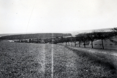 Landschaft mit Feldweg und Baumreihe in Frankreich